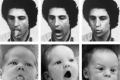 Mirror neurons? Man opens mouth - baby open mouth / man sticks out tongue - baby sticks out tongue / man puckers lips - baby puckers lips